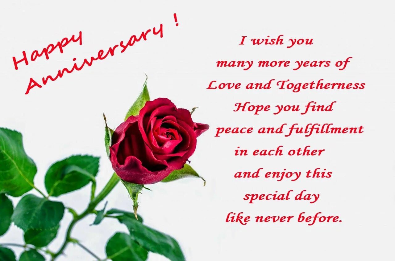 Marriage Anniversary Wishes. Happy Anniversary Wishes. Wedding Anniversary Wishes. Loving Anniversary Wishes. This is special day