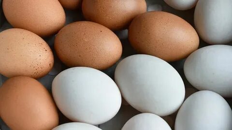 Egg москва