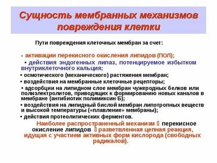 Механизмы повреждения мембран клеток