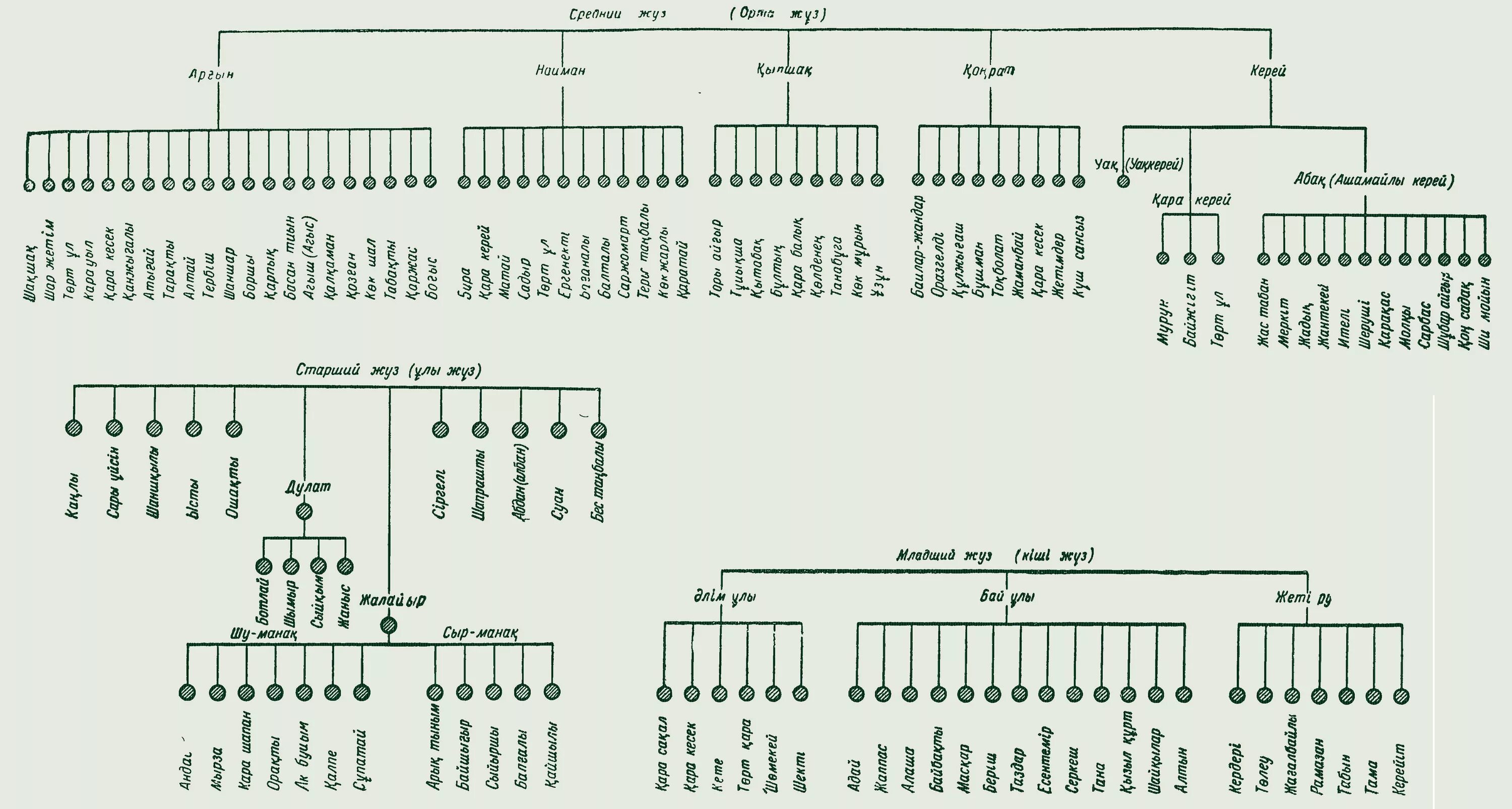 Родословная казахов младшего жуза. Младший жуз родословная. Младший жуз Древо. Схема Древо рода казахов старшего жуза. Кіші жүз ханы