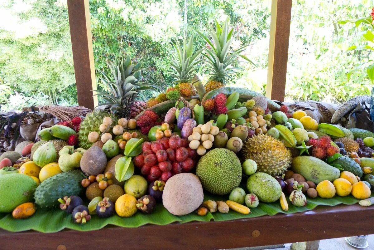 Тропические фрукты. Экзотические фрукты и овощи. Экзотические тропические фрукты. Экзотические овощи. Условия выращивания фруктов