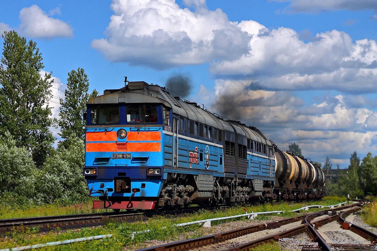 Компрессор 2тэ116. 2тэ116 тепловоз. локомотив 2тэ116. 2тэ116 бч. 2тэ116к railgallery.