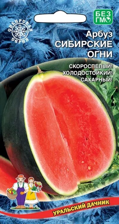 Арбуз огни сибири описание. Сорт сибирские огни. Арбуз сорт сибирские огни. Арбуз сибирские огни 15 шт. Сорт сибирские огни.