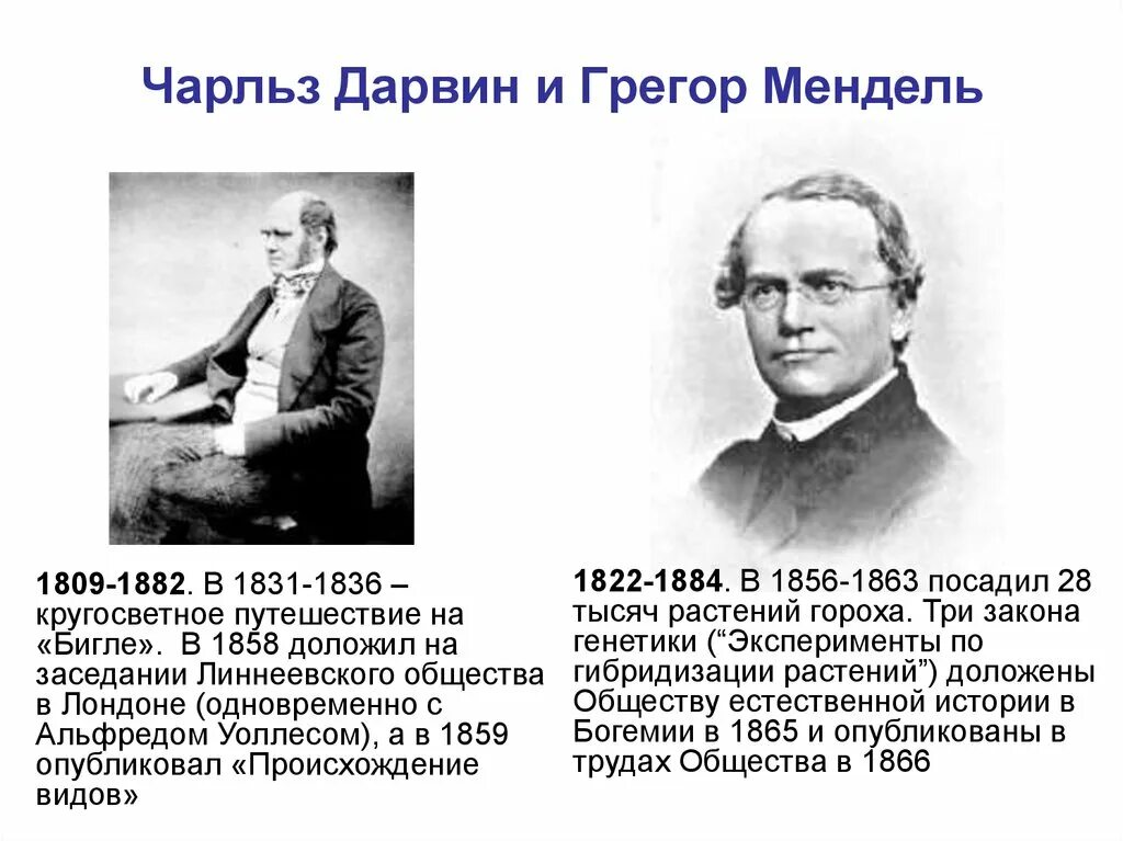 Грегор мендель биолог. Грегор мендель. Gregor johann mendel. Дарвин мендель. Мендель ученый.