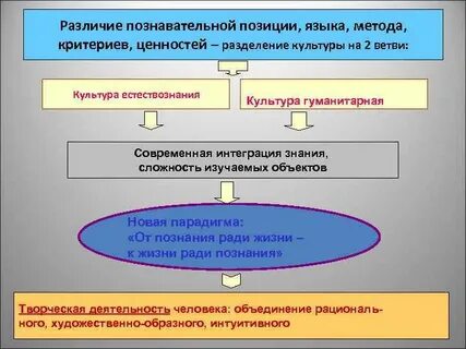Познавательная позиция