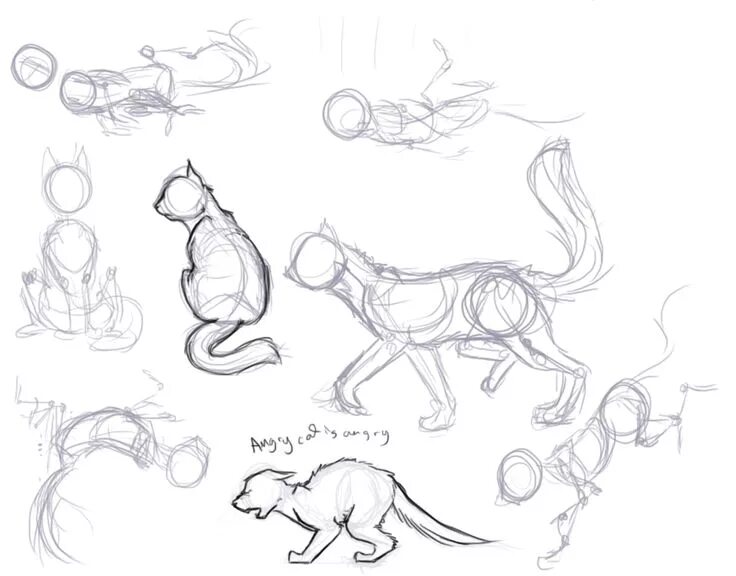 Cats tutorials