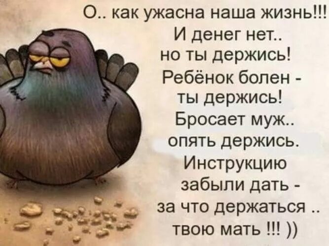 Смешные высказывания об уборке. Страшная девушка в очках. Шутка про страшную женщину. Идеальный ребенок мем. Некрасивое женское лицо.