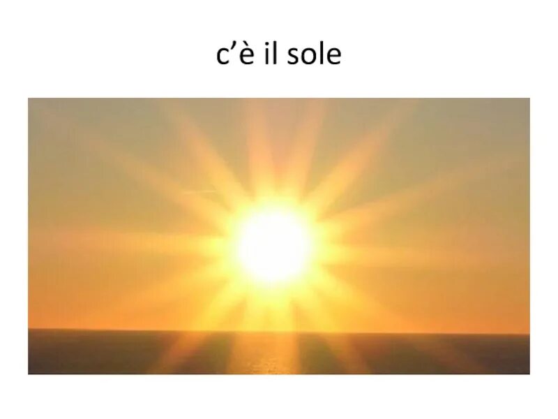 Sole sole le. Sole sole le. Sole fresh владелец. Sole обувь. Sole sole le.