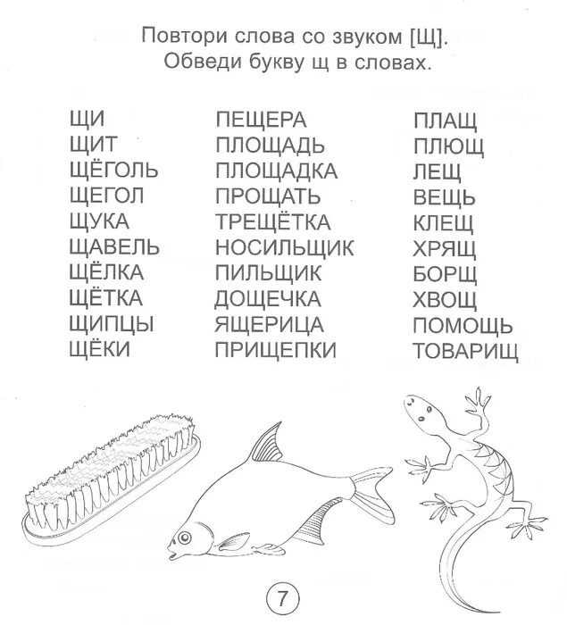 Рисунок на букву щ. Чтение с буквой щ для дошкольников. Слова на букву щ. Слова на букву щ для детей. Чтение с буквой щ для дошкольников.