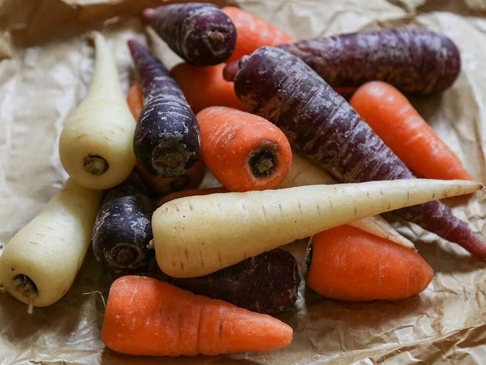 Какую морковь лучше. Семена моркови лосиноостровская. Морковь карболи f1. Какую морковь лучше. Морковь нантская семко.