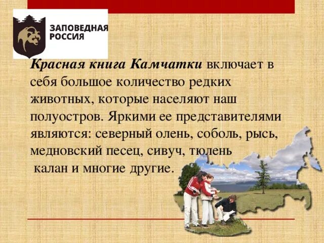 Венерин башмачок камчатка. Красная книга камчатки книга. Камчатская красная книга. Красная книга про животных камчатка. Красная книга про животных камчатка.