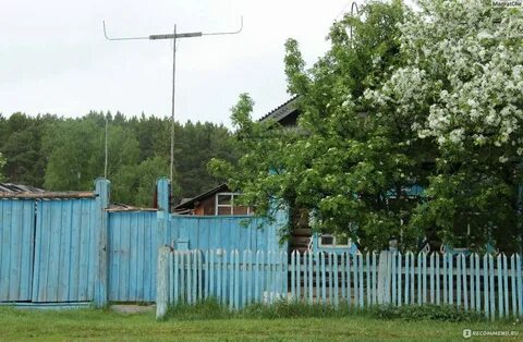 Окуневая погода