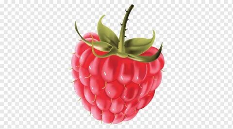 Логотип blox fruits