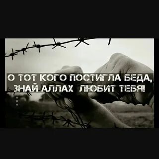 Не знали мы беды