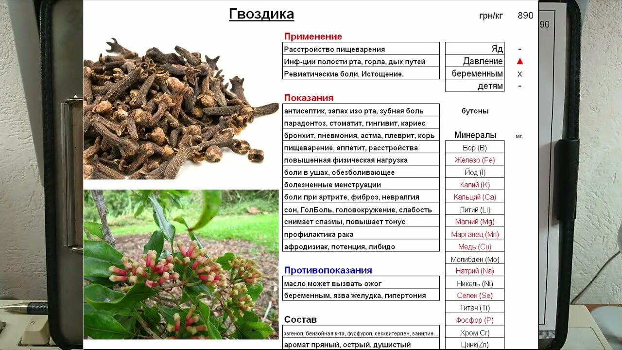 Чем полезна гвоздика. Гвоздика с медом. Гвоздика польза для организма человека. Для чего полезна гвоздика. Вода с гвоздикой польза