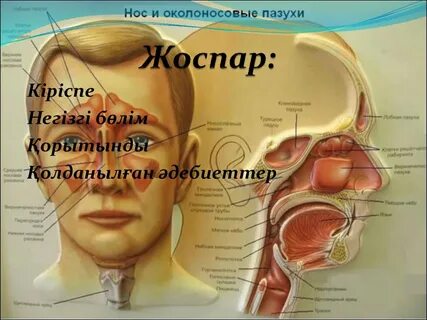 Биенің мысығының порно видеосы