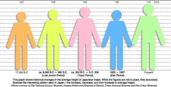 Рост мужчины в 16. Средний рост. Средний рост мужчины в Японии. Человек среднего роста. Средний рост в Японии.