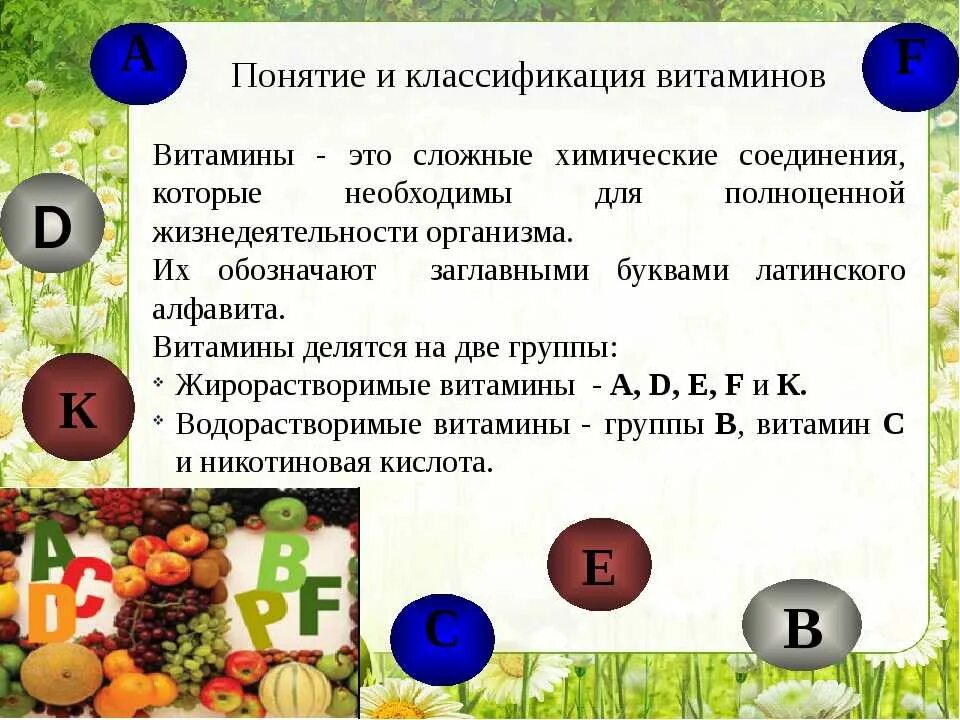 Классификация витаминов кратко. Витамины общее понятие. классификация витаминов. витамины и их роль. основные группы витаминов.