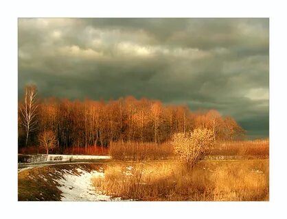 Осенний ложиться