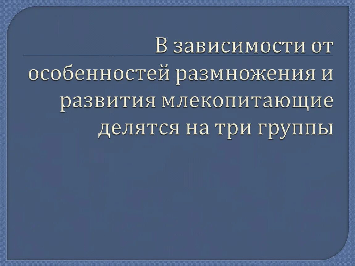 Размножение и развитие млекопитающих 7 класс кратко. Особенности развития млекопитающих. размножение и развитие млекопитающих. особенности размножения и развития млекопитающих кратко. размножение и развитие млекопитающих 7 класс.