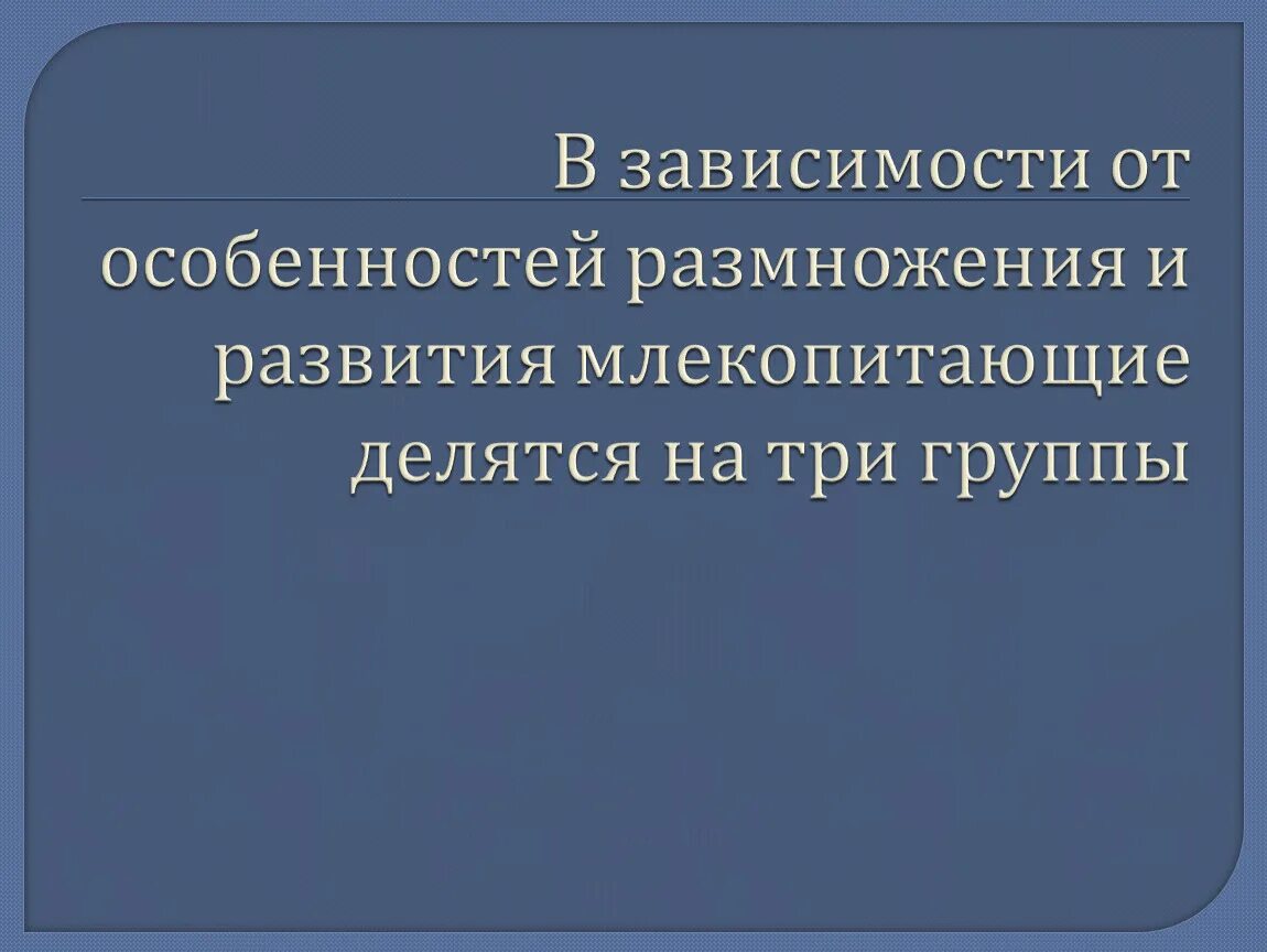 Особенности развития млекопитающих. Млекопитающих делятся на 3 группы. Особенности развития млекопит. Размножение и развитие млекопитающих.