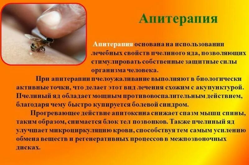 Апитерапия лечение