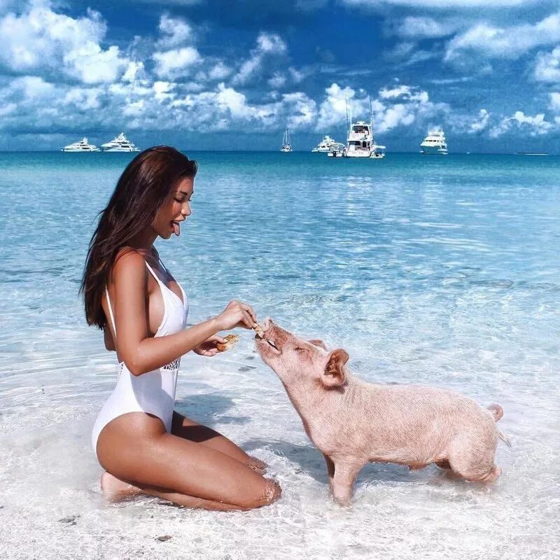 Подборка. Багамы девушки. Приколы на пляже. Веселые фото на пляже. Кролик на море.