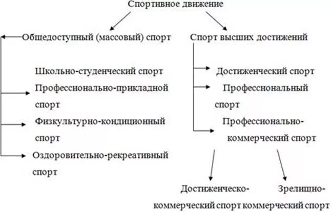 Основное понятие спорт. Классификация спортивных достижений. Спорт высших достижений виды. Массовый спорт и спорт высших достижений. Классификация спорта высших достижений.