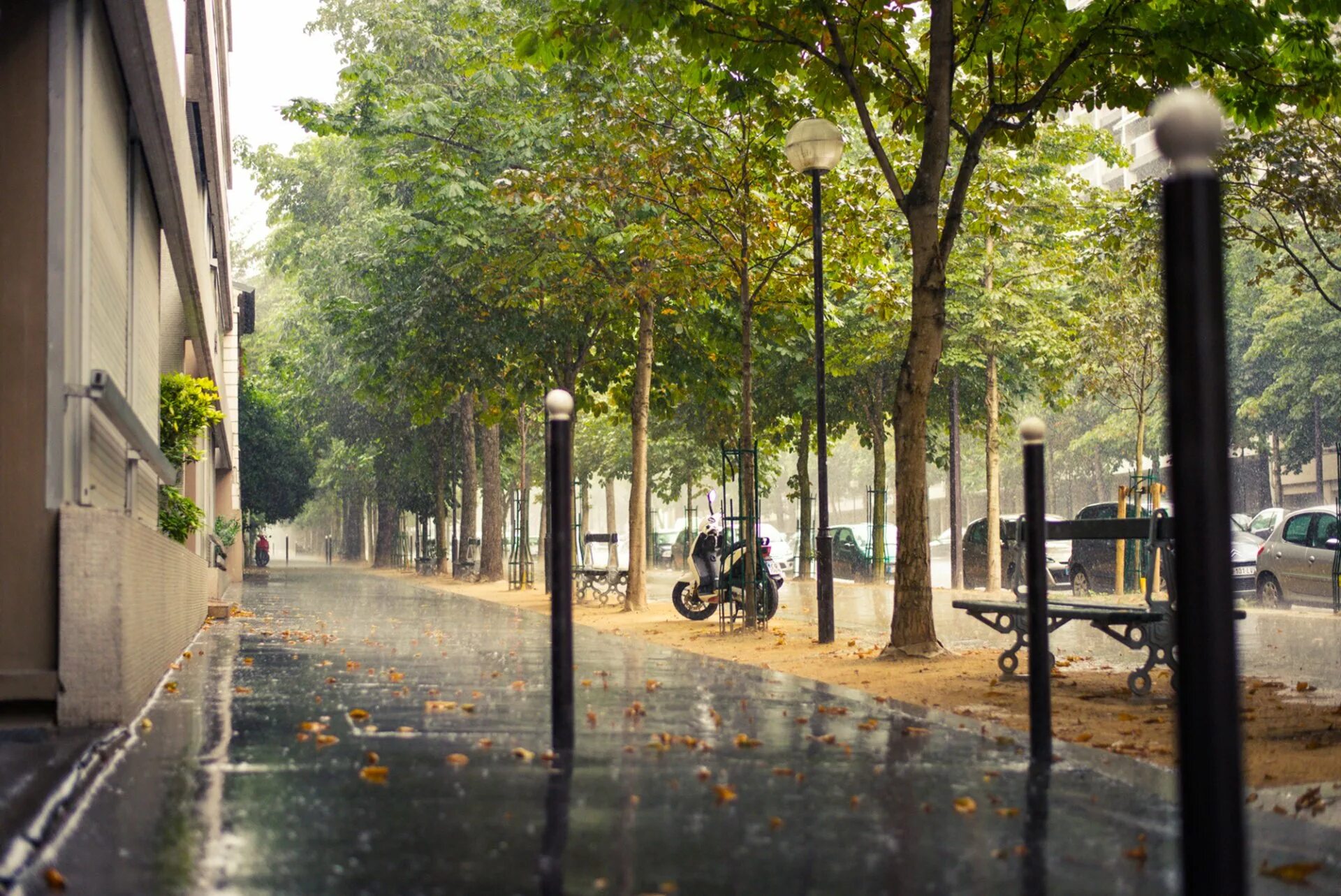 Улица Моконсей Париж. Улица города. Дождливая улица. Street trees