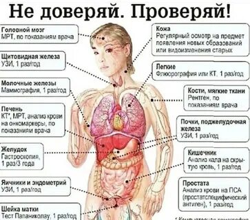 Как узнать инфекции в организме