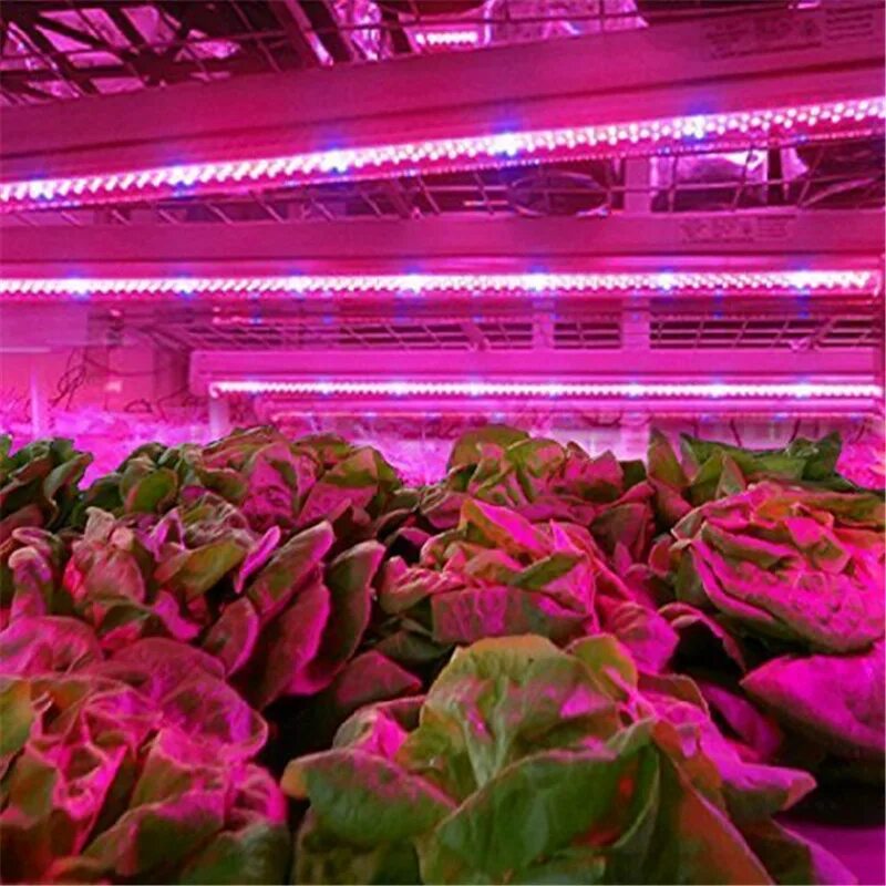 Фитолампа led grow Light. Фитолампа полный спектр для растений. Фито светильник для растений. "Полный спектр - 20 ватт". Светодиодная фитолента для растений 5 м, Maple Lamp. Лента полного спектра