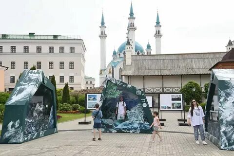 Интерактивные выставки казань