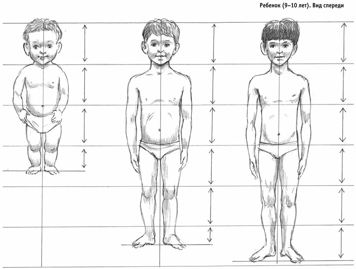 Рисунок человека для детей 10 лет. Пропорции тела мальчика. Схема пропорций тела ребенка. Анатомия пропорции тела ребенка. Пропорции тела мальчиков подростков.