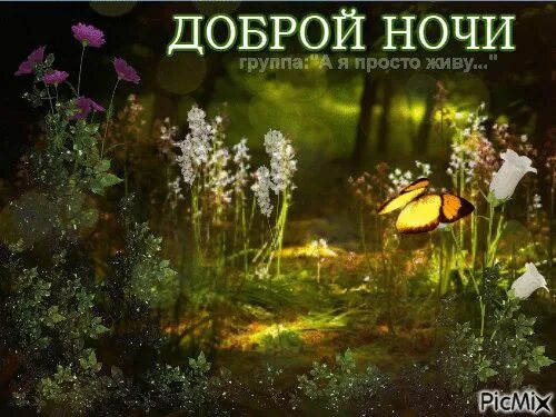 Доброй августовской ночи. Доброй весенней ночи. Открытки спокойной ночи. Спокойной августовской ночи красивые. Доброй ночи летом.