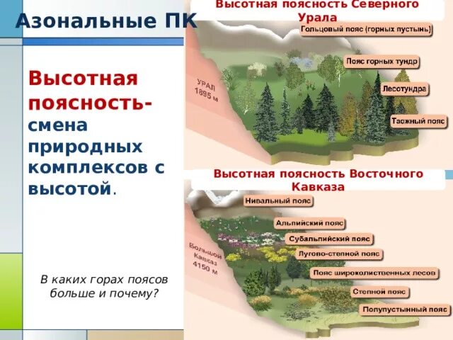Презентация по географии "Природные зоны России и их обитатели" (8 класс)