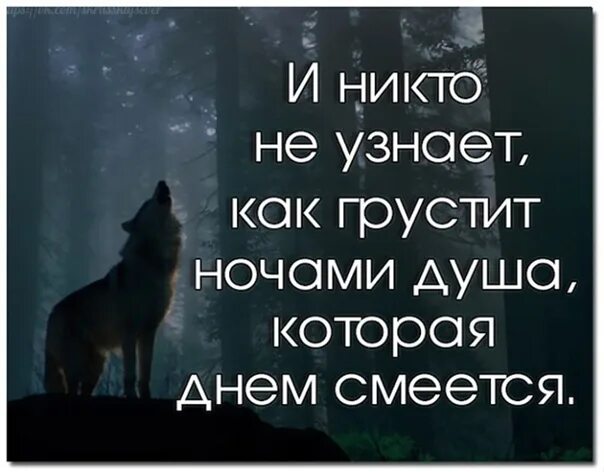 Душа и плачет и смеется. И никто не узнает как грустит ночами душа которая днем смеется. Плакать по ночам цитаты. Никто не знает что на душе у человека который всегда смеется. Душа грустит.