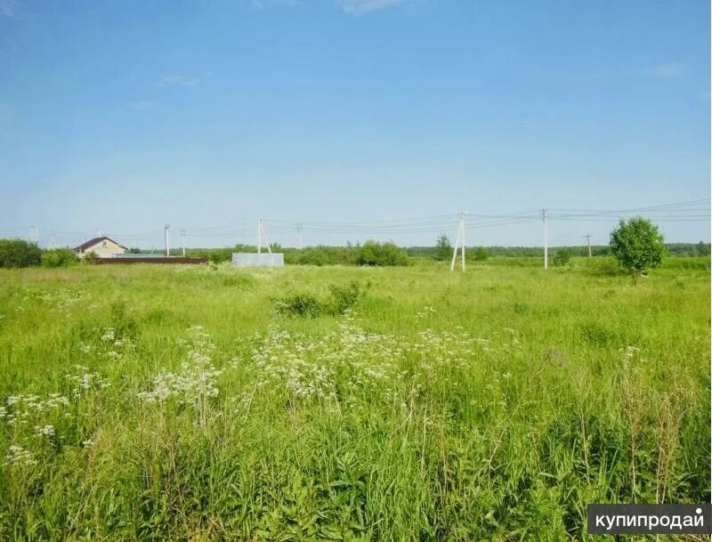 Раменский р н константиново. Константиново (раменский район). село константиново раменский район московская область. река в константиново раменский район. деревня константиново раменский район.