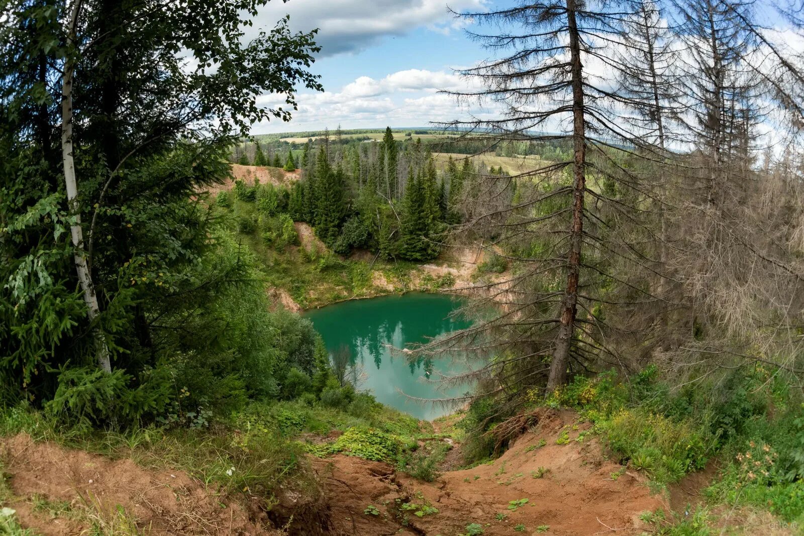 Марий эл какой край. Лес Республики Марий Эл. Природа Марий Эл Йошкар-Ола. Природа Марий Эл. Леса Марий Эл.