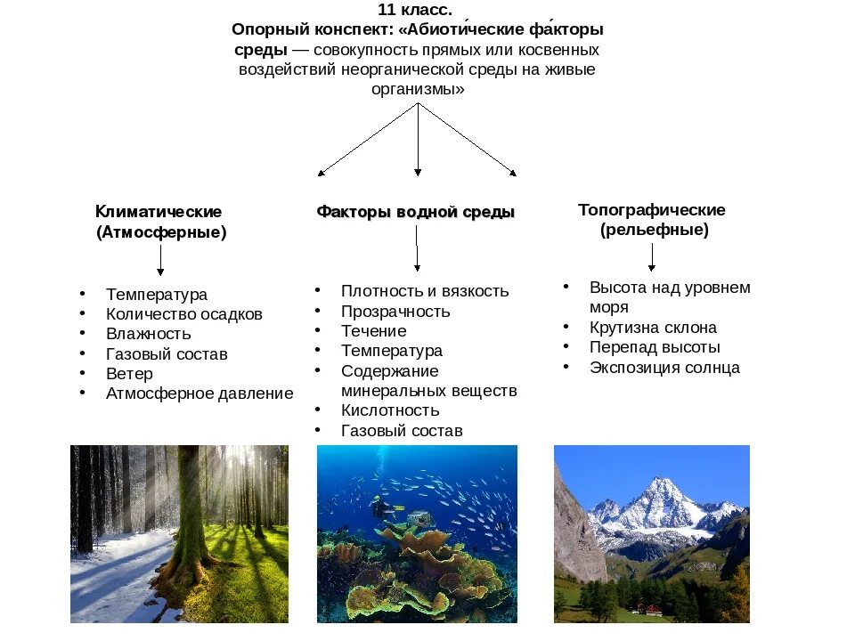 Факторы среды дать определение. Климатические абиотические факторы. Абиотические факторы среды 5 класс биология. Абиотические факторы 3 среды обитания. Абиотические факторы в средах жизни.