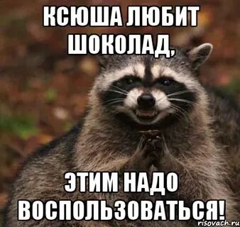 Кто лучше ксюша