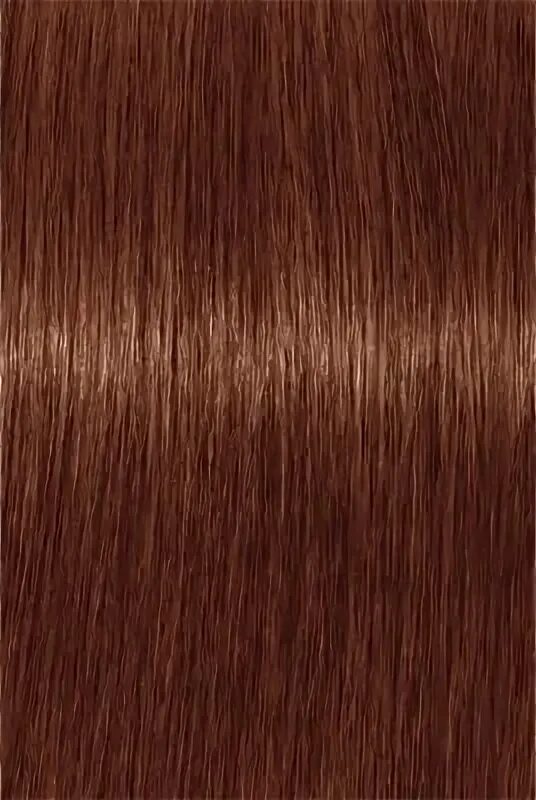 70. Igora royal absolutes 9-40. Краска для волос igora absolutes. Igora royal absolutes 5-50. Краска для волос igora absolutes.