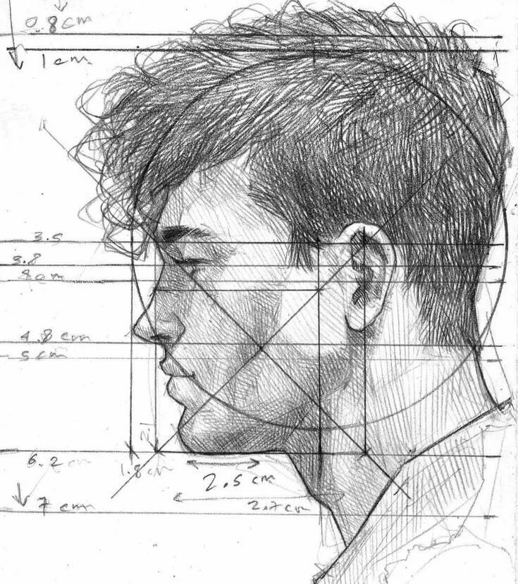 Профиль рисунок. Мужской профиль карандашом. Профиль человека рисунок. Портрет в профиль карандашом. Портрет в профиль карандашом мужчина.