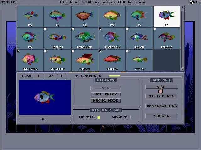 Fish rng codes. Fish rng codes