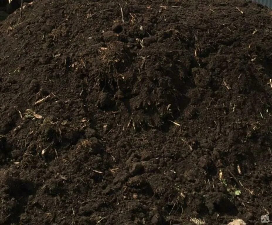 Перегной доставка. Навозный перегной. Навоз перегной. Перегной коровий. Перегной.