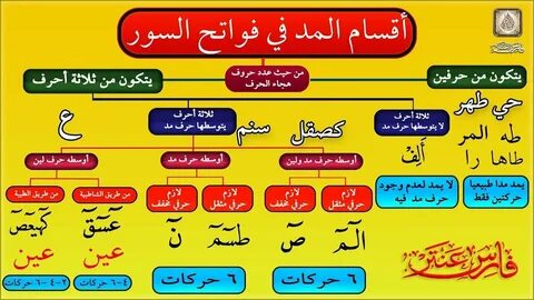حكم الحروف المقطعة في أوائل السور - shopgt.com 