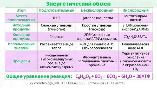 Изменения биология 2023. Обмен веществ ЕГЭ биология. Шпора по теме обмен веществ. Задачи на энергетический обмен ЕГЭ биология 2023. Задания на энергетический обмен ЕГЭ биология 2023.