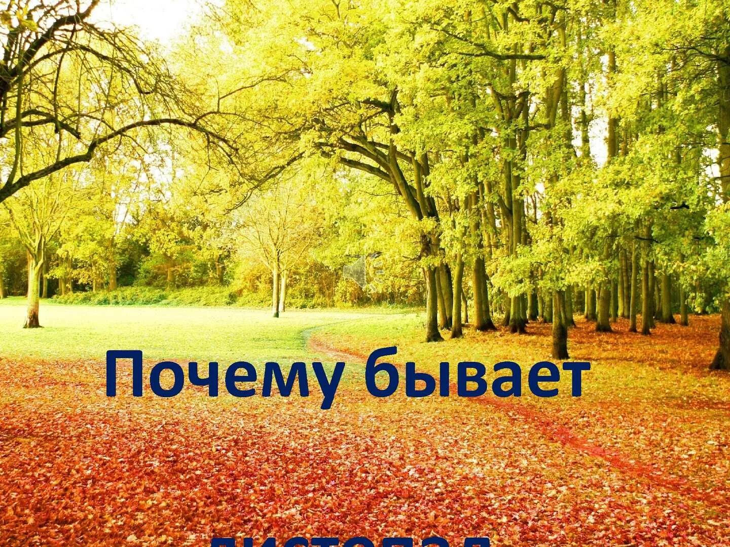 Листопад презентация по биологии. Почему бывает листопад. Презентация листопад. Листопад (биология). Дерево осенью листопад презентация.