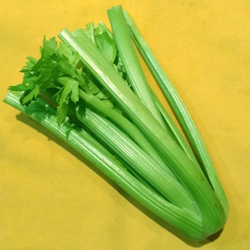 Celery scripts. Сельдерей эстетика. swap celery. g33 celery цвет. the cerery мнюхуа.