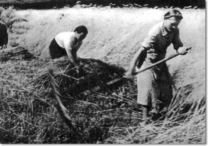 Дети труженики тыла 1941-1945. Труженики тыла фотографии 1941-1945. Колхоз с детьми тыл ВОВ И труженики. Женщины трудятся в тылу. Как люди помогали во время войны