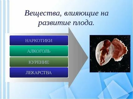 Влияние факторов среды на развитие зародыша